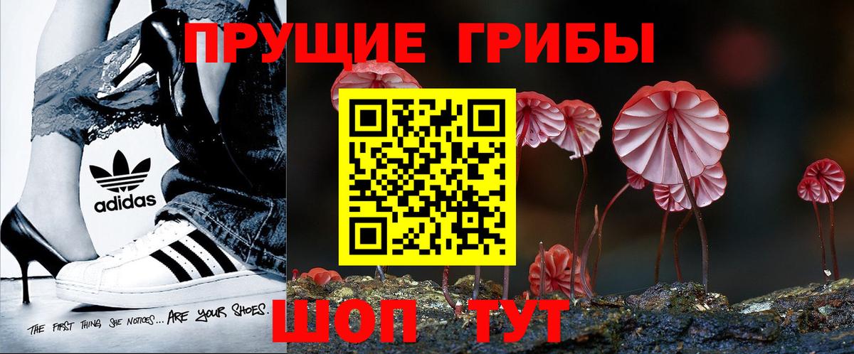 Ханты-Мансийск  Псилоцибиновые грибы Cubensis  Вход с VPN 